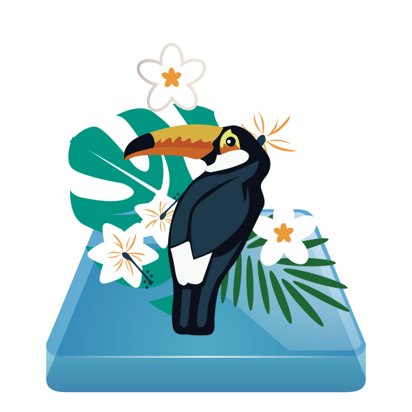 GeoGo toucan
